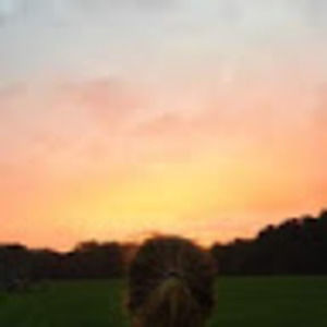 Meet your Posher, Bridget